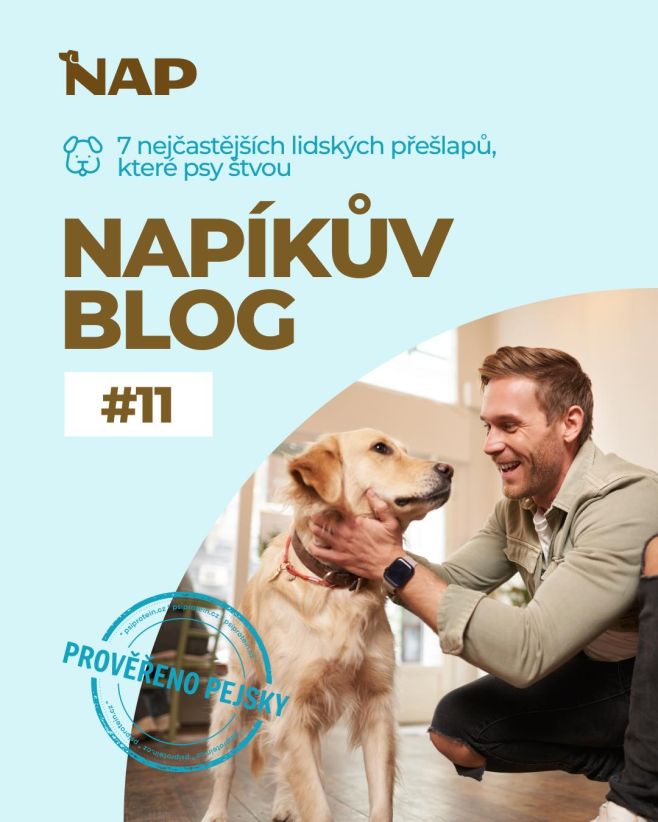 🐶 Děláme to z lásky, ale psům to často vadí. Objímání, spěch na procházce, opakování povelů nebo málo odpočinku – i malé...