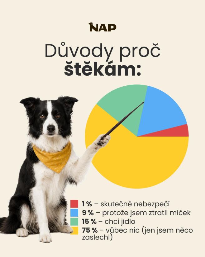 A u vás je jaky důvod štěkotu? 😆 #psiprotein #pes #cesko