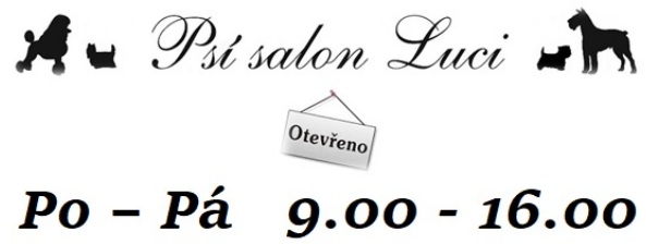 Psí_salon_LUCI_web_00
