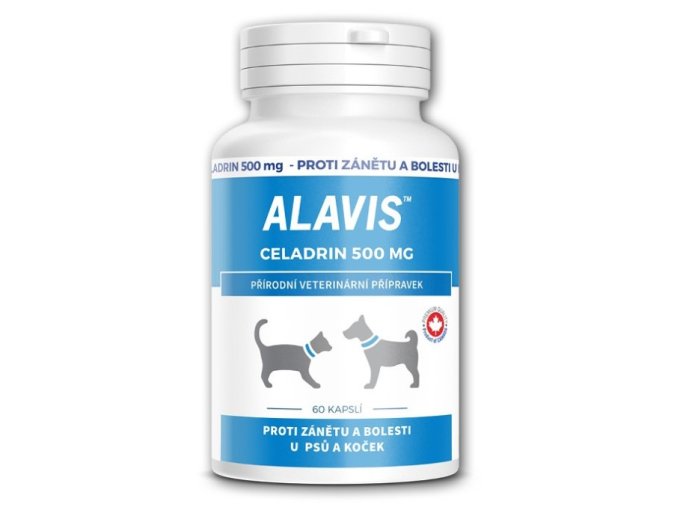 ALAVIS Celadrin 500mg 60 tablet
