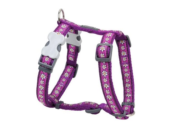 Postroj RD 25 mm x 71-113 cm - Daisy Chain Purple