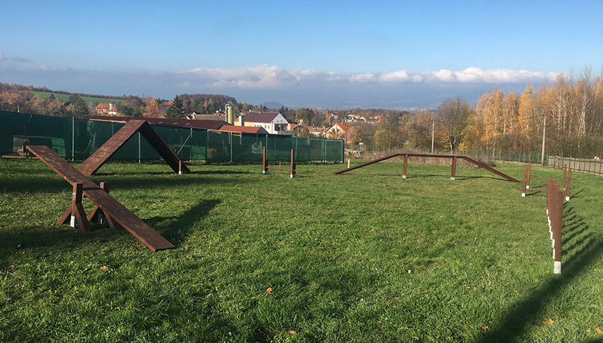 Agiliy pro psí útulek Anidef