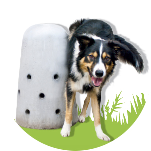 Prezentace psích pisoárů