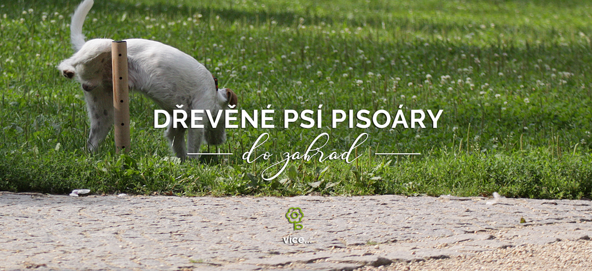 Dřevěný psí pisoár
