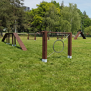 Psi_park_Brno_Krpole01