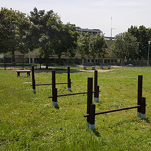 Psi_park_Brno_Krpole06