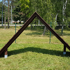 Psi_park_Brno_Krpole09