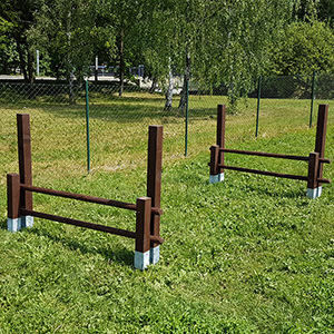 Psi_park_Brno_Krpole14