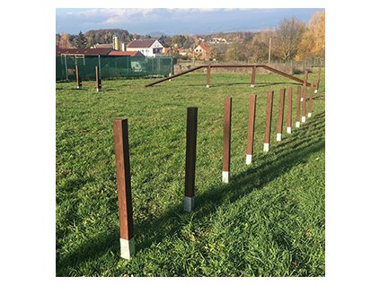 Psi utulek Anidef 06