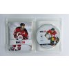 PS3 - NHL 09, česky