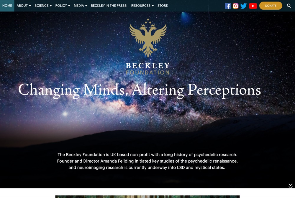 Náhled webu — Beckley Foundation