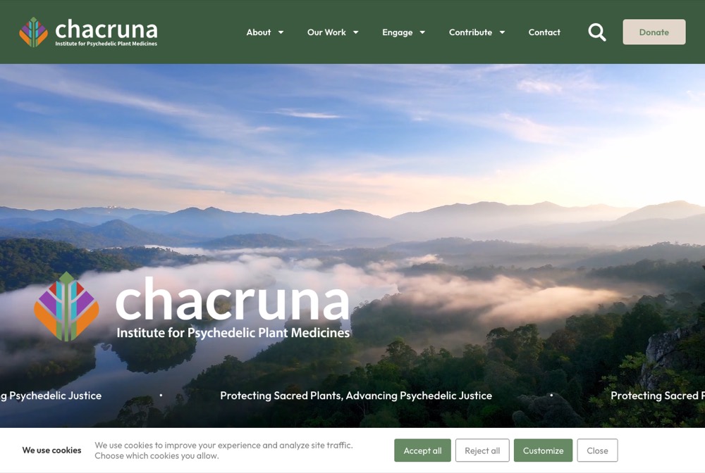 Náhled webu — Chacruna Institute