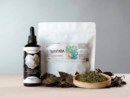 ranní Flow, wayusa a lions mane