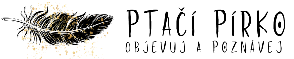 Ptačí pírko