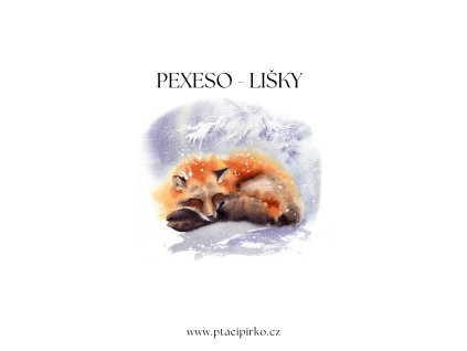 pexeso lisky obrazek