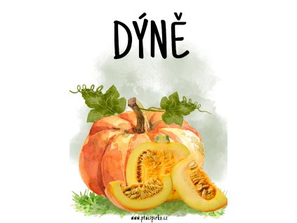 Pracovní listy "DÝNĚ"