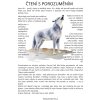Pracovní listy "Vlk obecný"