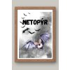 Netopýr (2)