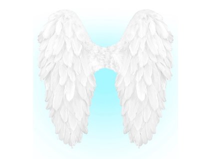 Perova kridla 50x50cm