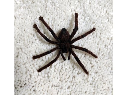 Semisova tarantule 6cm