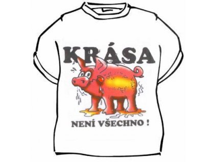 Tričko - Krása není všechno