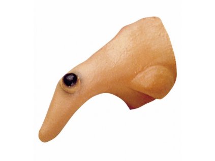 carodejnicky nos