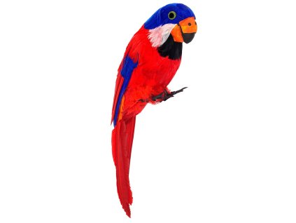 Papousek cerveny