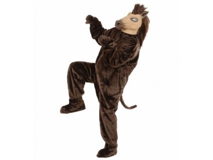 Kostym kun