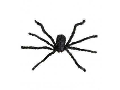 Cerny pavouk 75cm