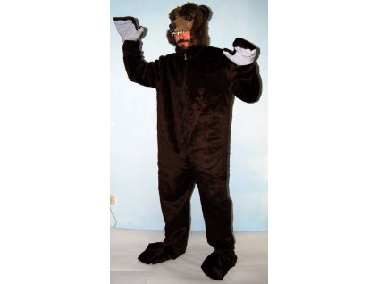 Kostym medved