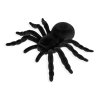 Pavouk velky 15cm