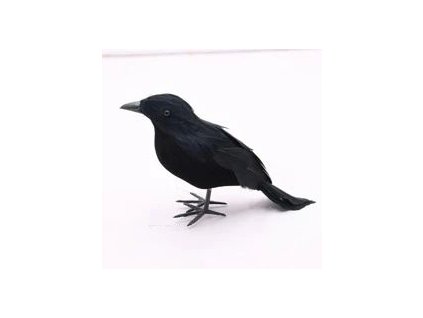 Pták s peřím černý cca 10cm