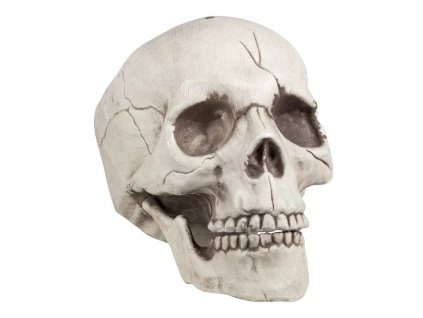Lebka s pohyblivou čelistí  21 cm