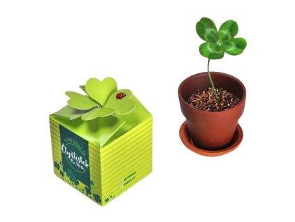 Kamila Fotky na Shoptet