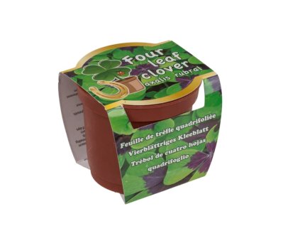 Kamila Fotky na Shoptet(1)