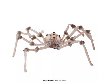 Pavouk kostra 80cm