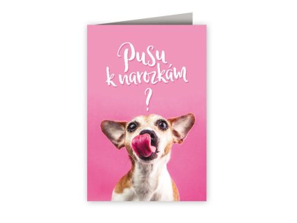 Přání k narozeninám - Pusa