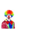 Paruka klaun barevná