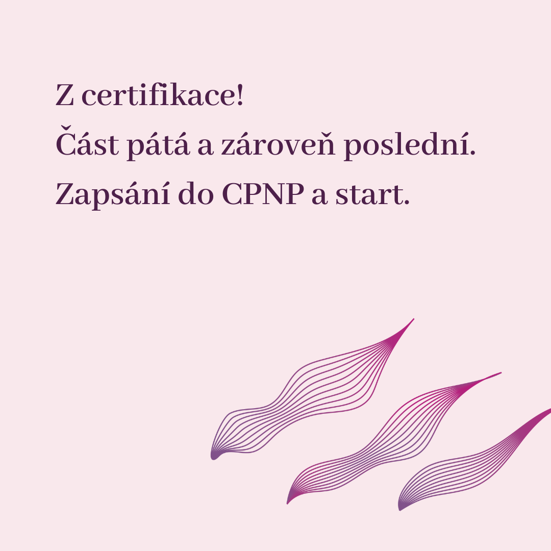 Z certifikace: Část pátá, poslední! Finalizace a start prodeje.