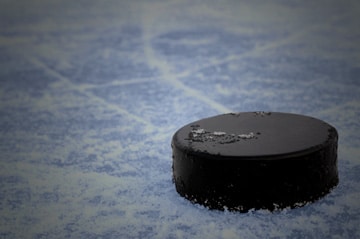 home banner puck