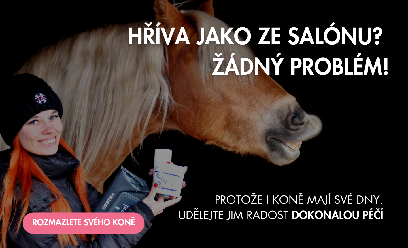 KOSMETIKA A VYBAVENÍ PRO KONĚ