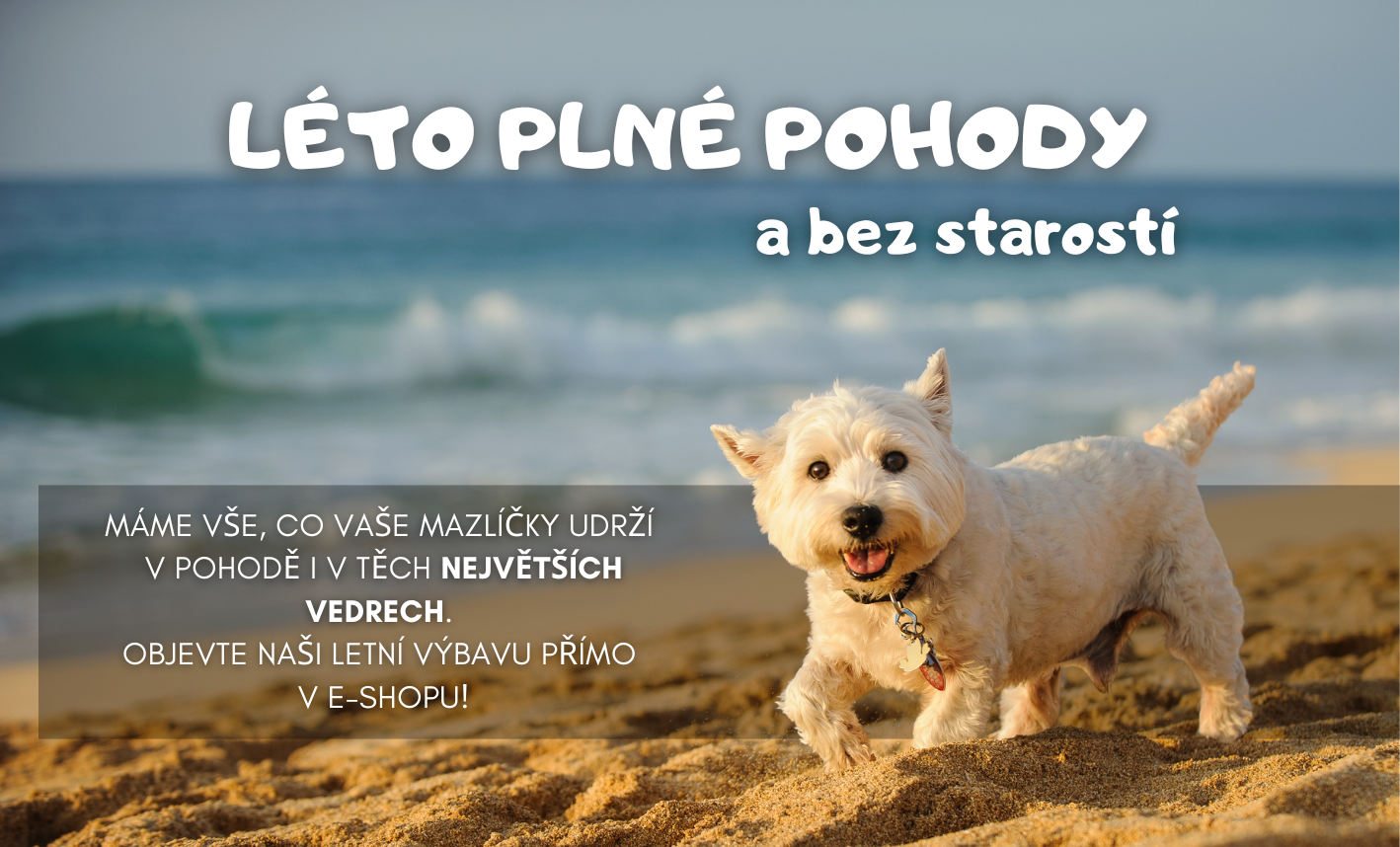 letní péče pro mazlíčky