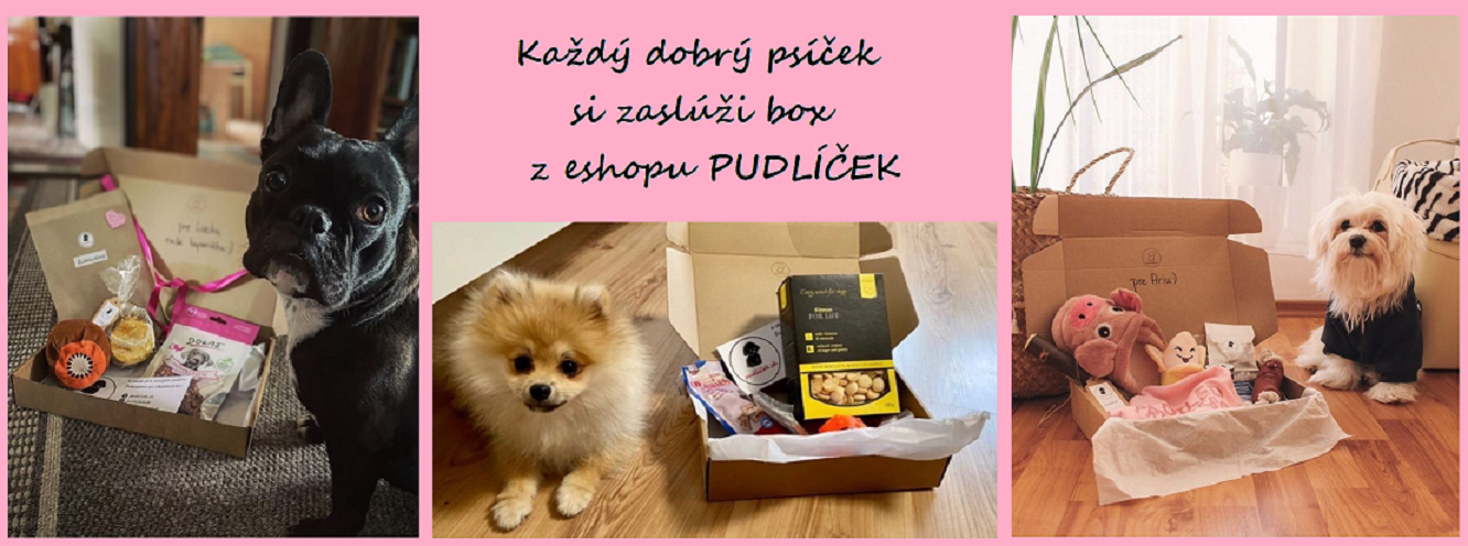 pudlicek