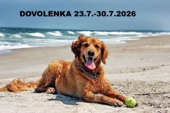 dovolenka