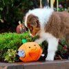 pumpkinburrow 600x600