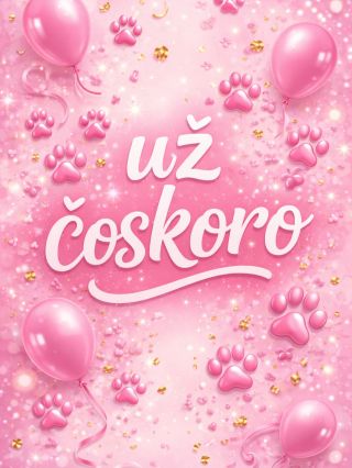 Už čoskoro … Kto počká, ten sa dočká 🐩🤪 #obchodprepsov #psialaska #novinka #uzcoskoro