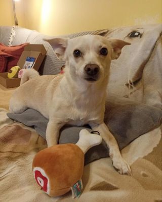 Nellka s hračkami od nás ❤️ Ďakujeme