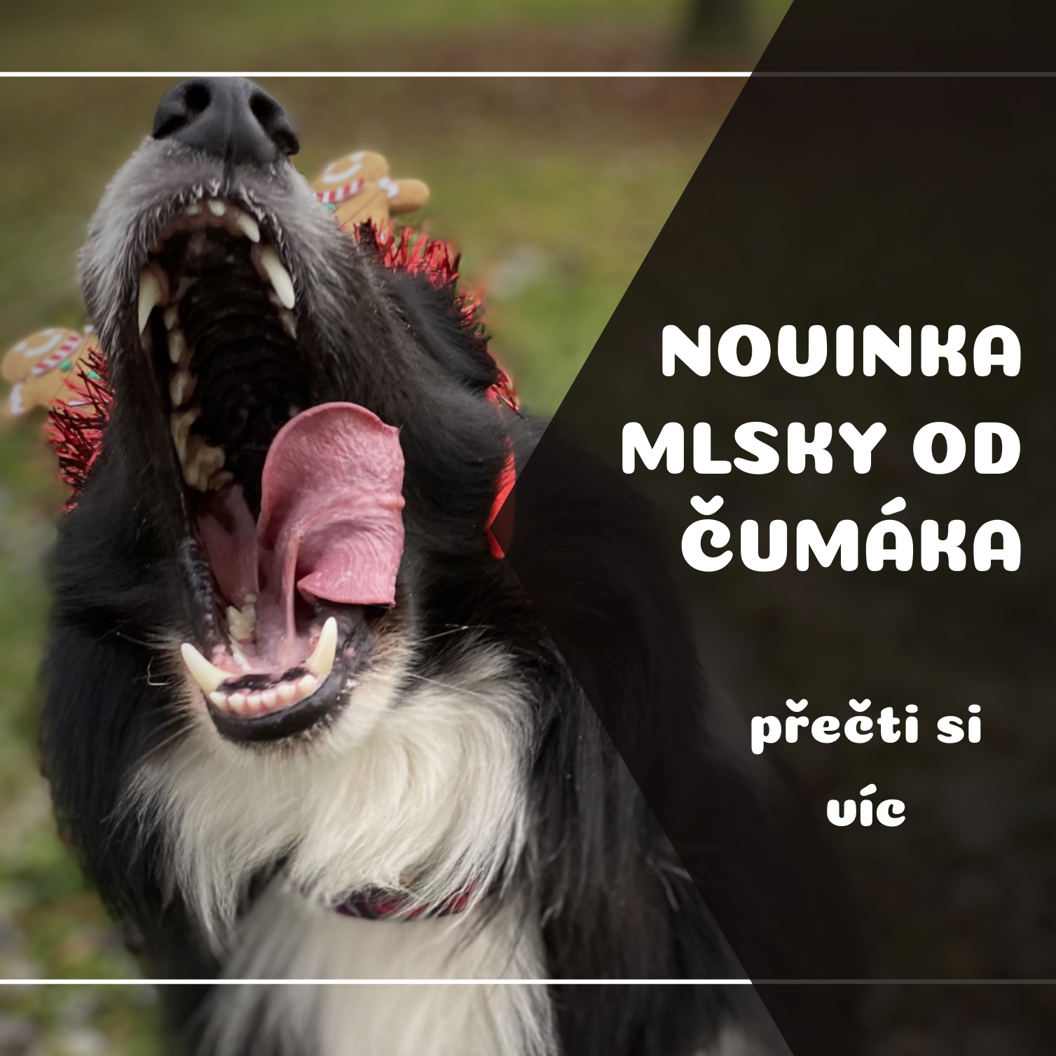 Masíčka Čumák