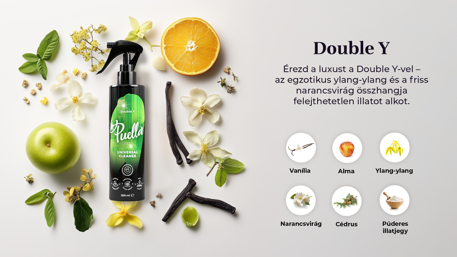 Web banner