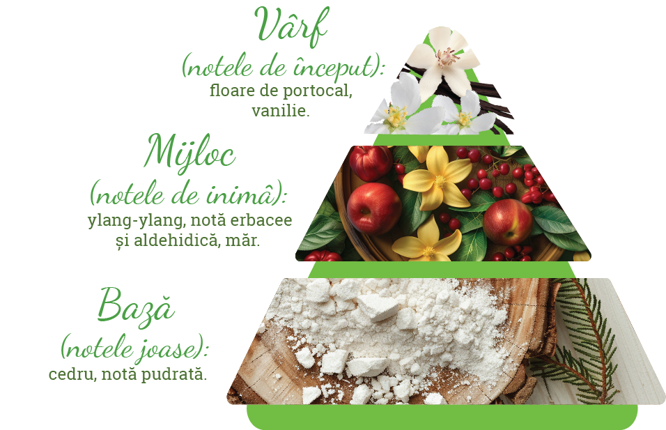 Compoziția parfumului